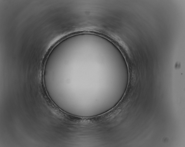 X0000094381316200711242013