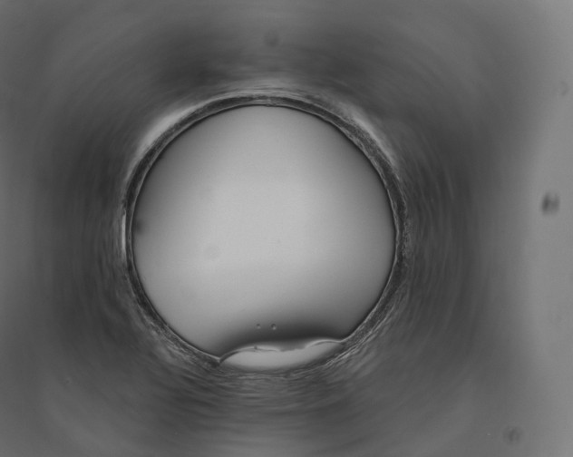 X0000094381320200711242013