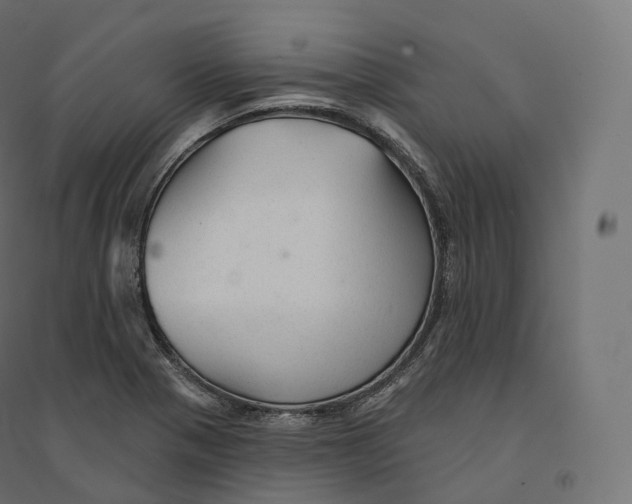 X0000094381321200711242013