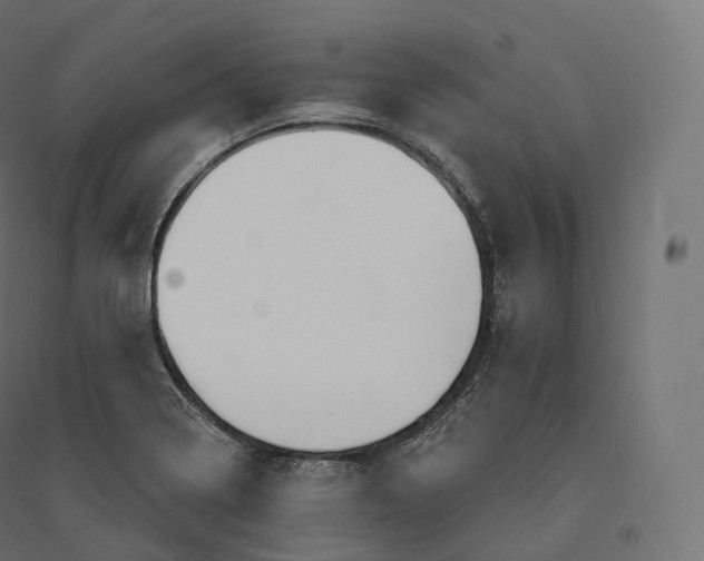 X0000094381322200711242013