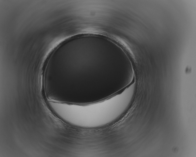 X0000094381323200711242013