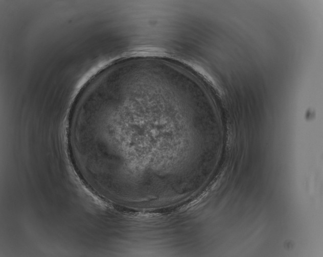 X0000094381325200711242013