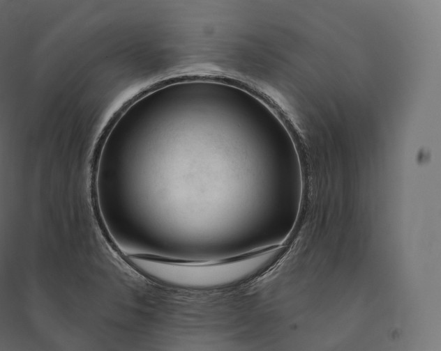 X0000094381326200711242013