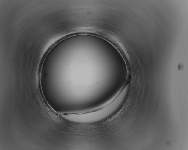 X0000094381328200711242013