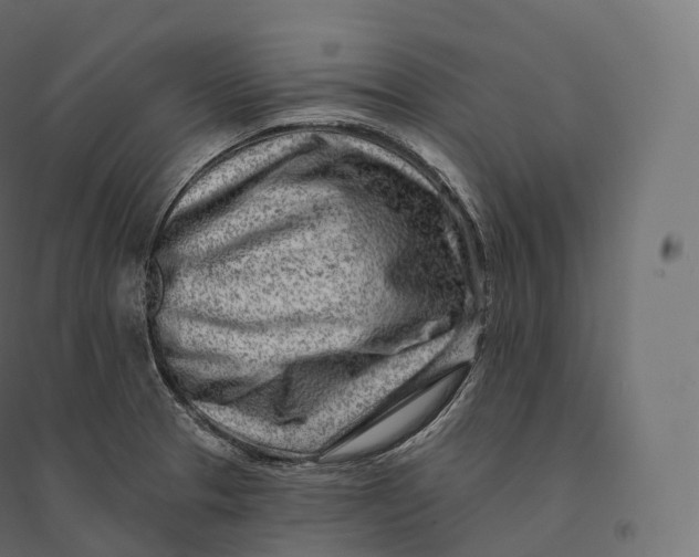 X0000094381329200711242013