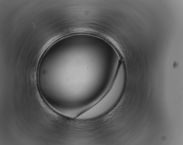 X0000094381330200711242013