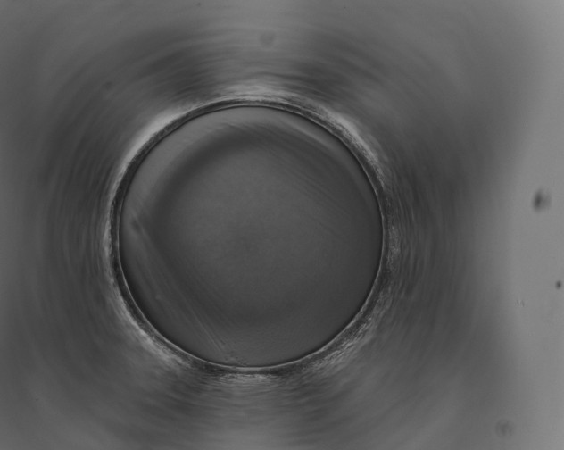 X0000094381331200711242013