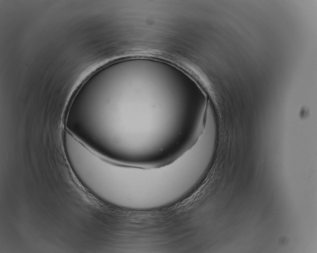 X0000094381332200711242013