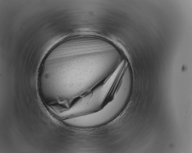 X0000094381333200711242013