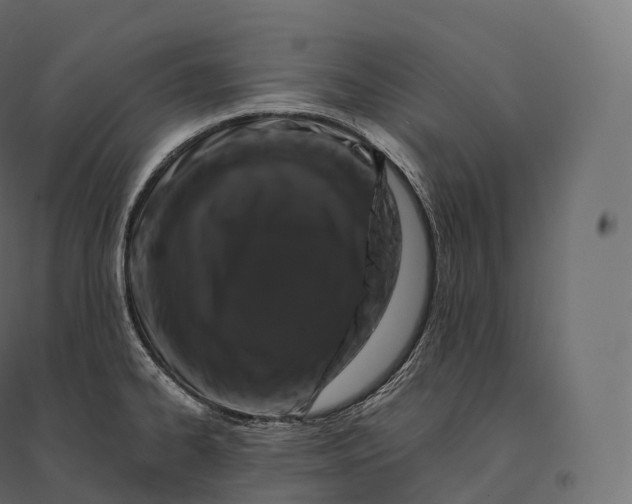 X0000094381334200711242013