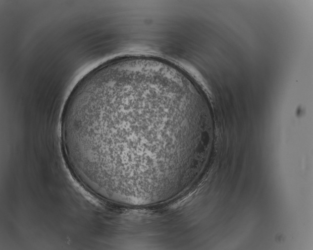 X0000094381335200711242013