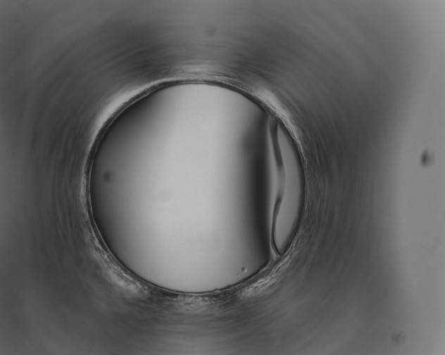 X0000094381336200711242013