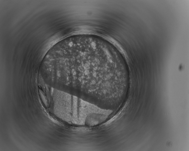 X0000094381337200711242013