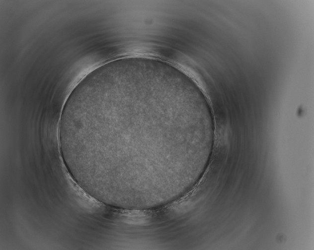 X0000094381338200711242013