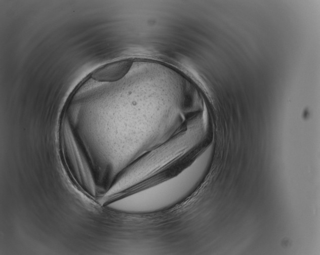 X0000094381339200711242014
