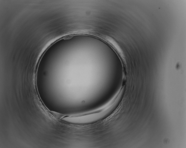 X0000094381340200711242014