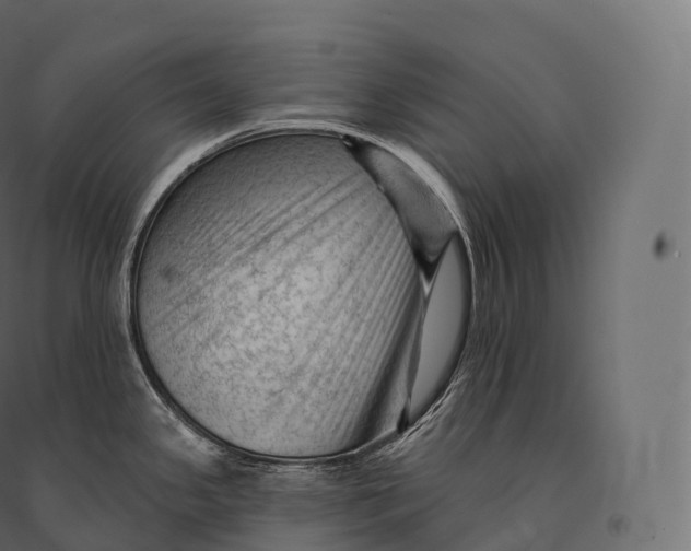X0000094381341200711242014