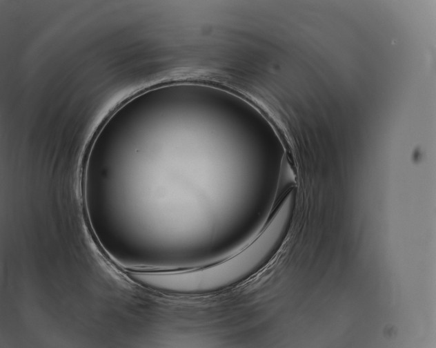 X0000094381342200711242014