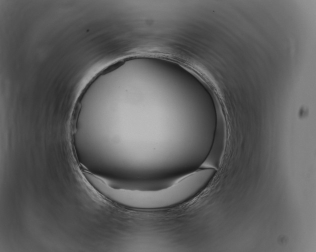 X0000094381344200711242014