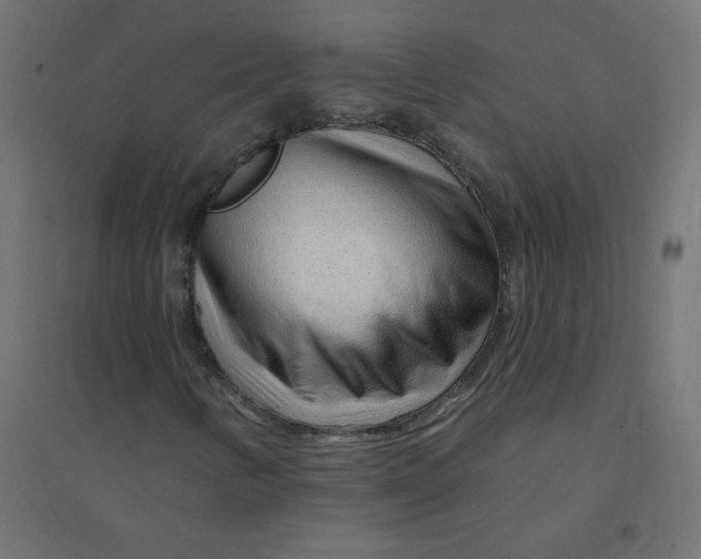 X0000094381346200711242013