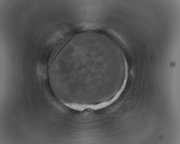 X0000094381348200711242013