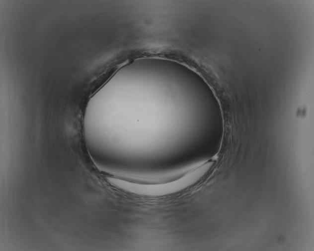 X0000094381349200711242013