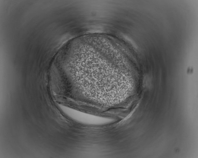 X0000094381353200711242013