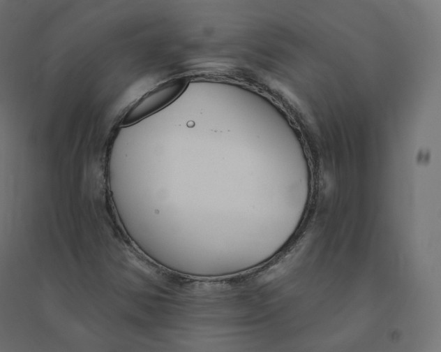 X0000094381354200711242013