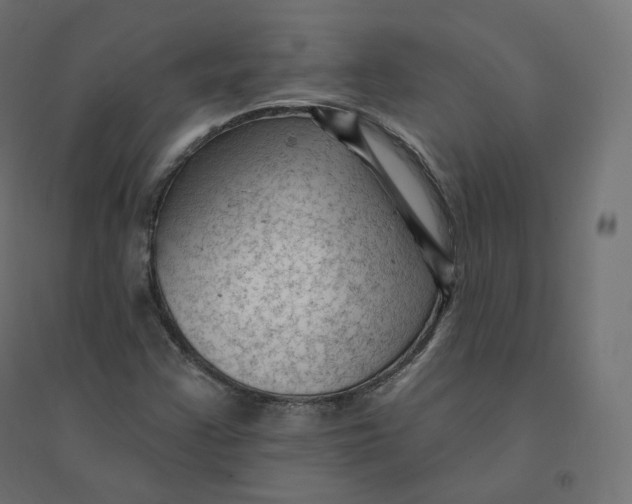 X0000094381355200711242013