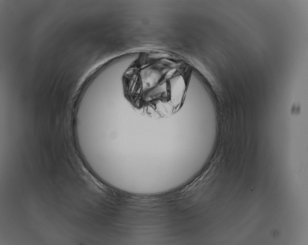 X0000094381356200711242013