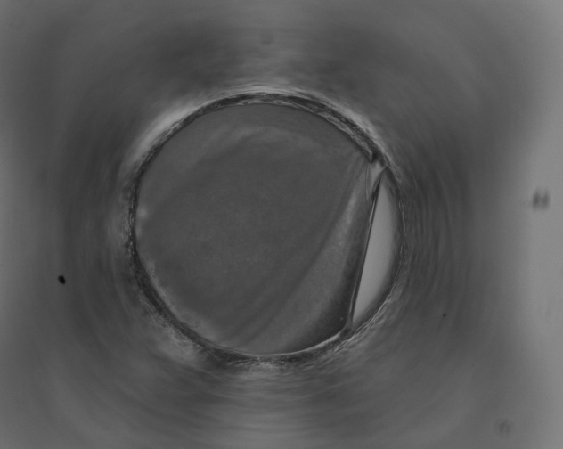 X0000094381359200711242013