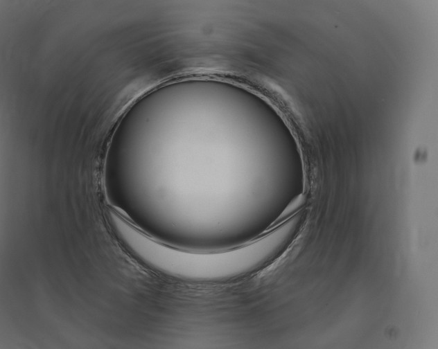 X0000094381361200711242013