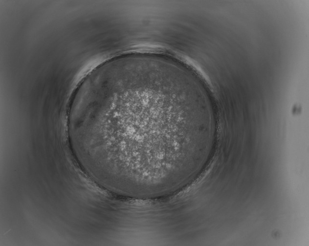 X0000094381362200711242013