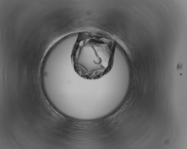 X0000094381364200711242013