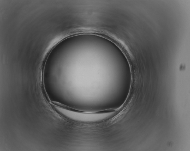 X0000094381365200711242013