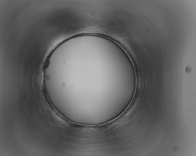 X0000094381366200711242013