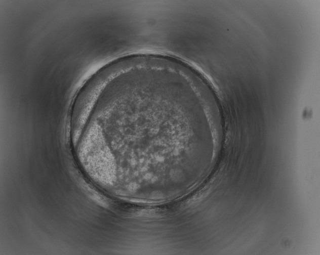 X0000094381367200711242012