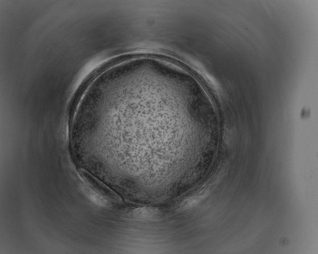 X0000094381368200711242012