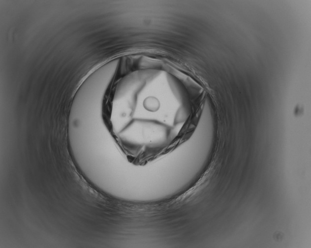 X0000094381369200711242012