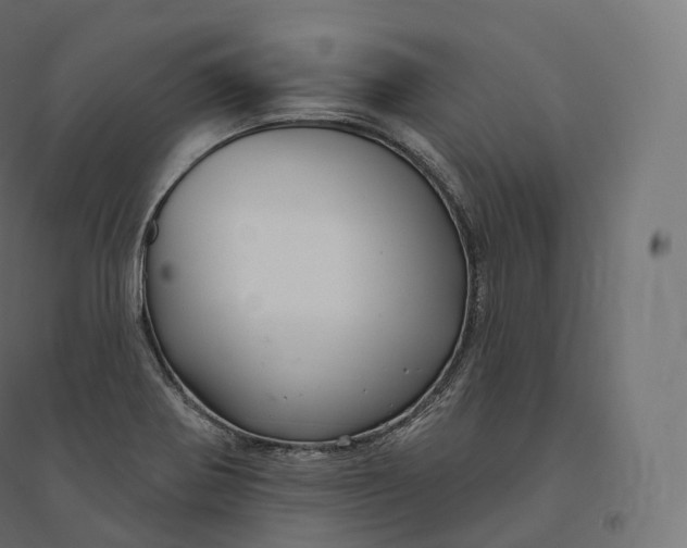 X0000094381370200711242012