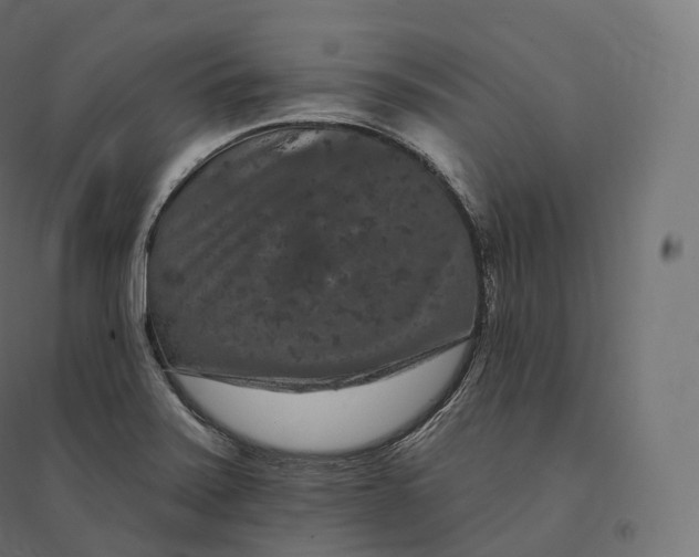 X0000094381371200711242012