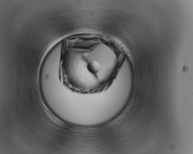 X0000094381372200711242012