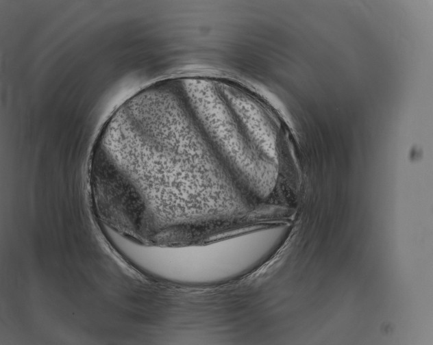X0000094381373200711242012