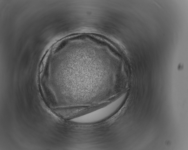 X0000094381374200711242012