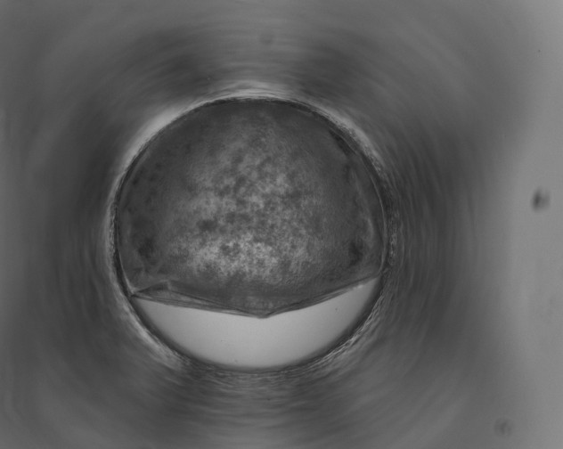 X0000094381375200711242012