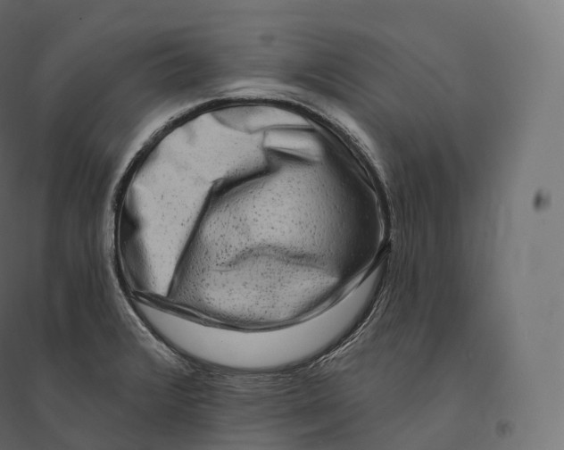 X0000094381376200711242012