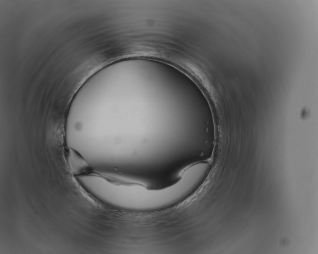 X0000094381377200711242012