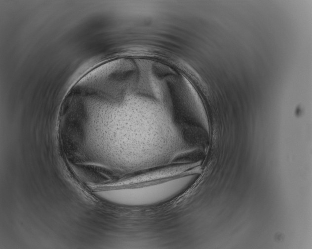 X0000094381378200711242012
