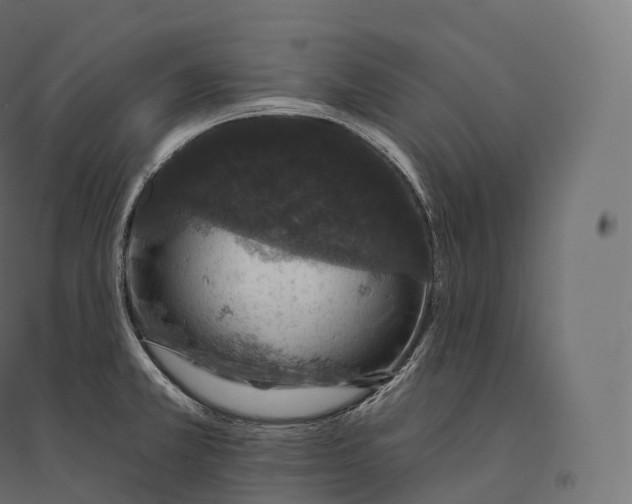 X0000094381381200711242012