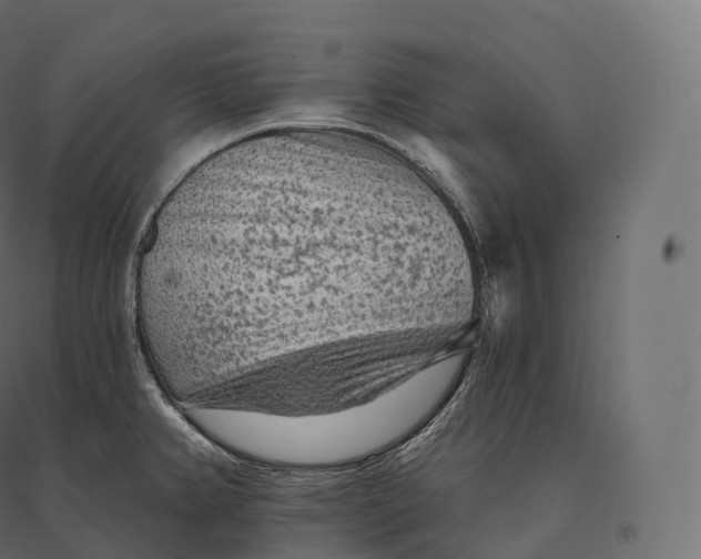 X0000094381382200711242012
